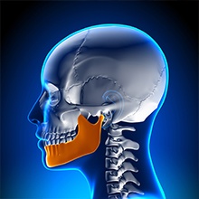 Animation of jaw and skull bone
